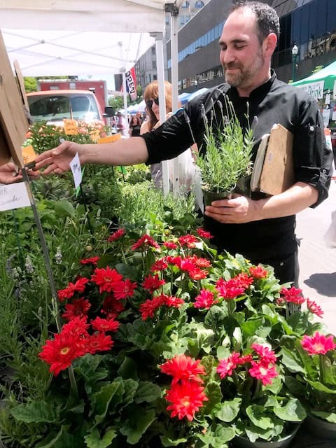 Man shopping for herbs and flowers at farmers market.