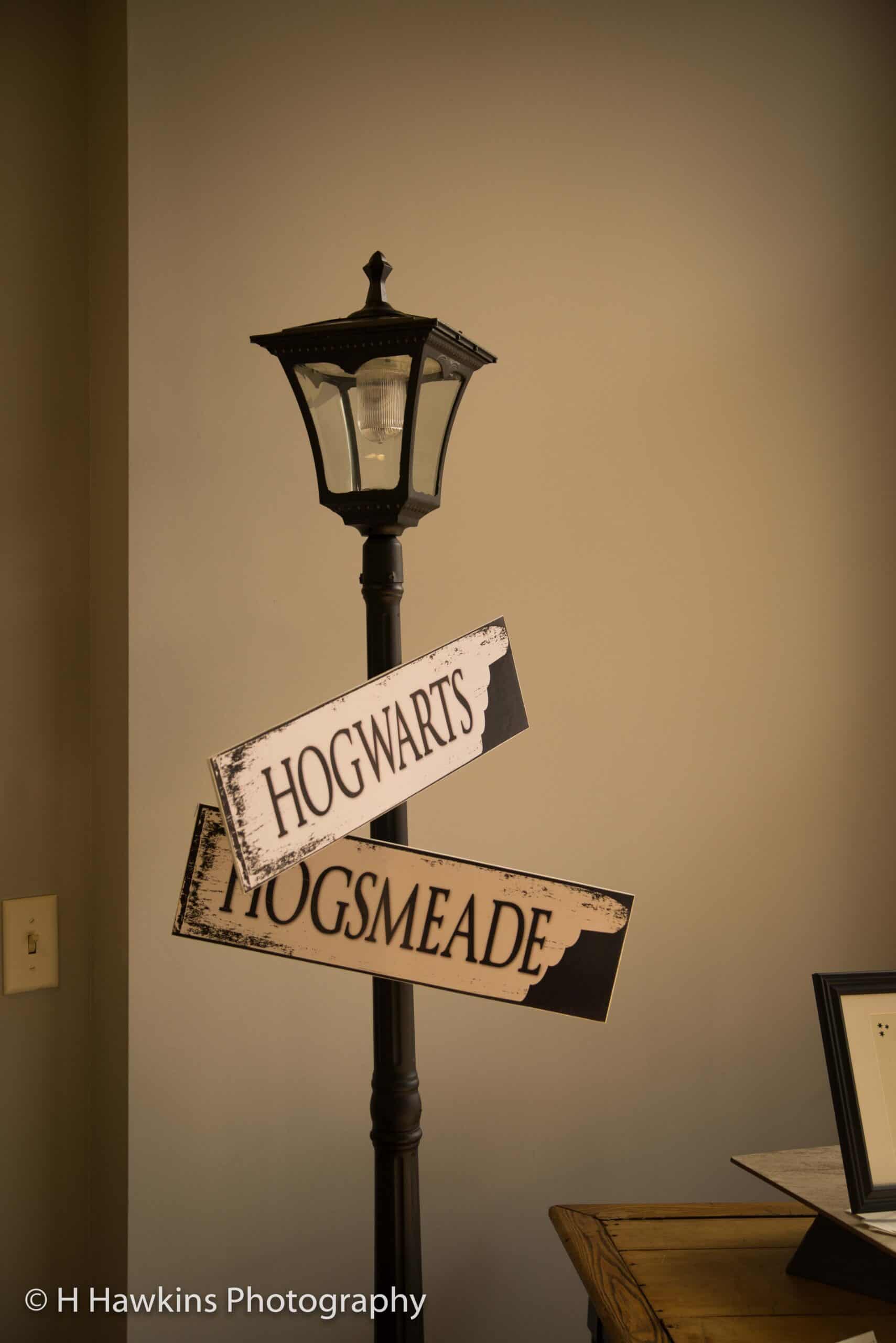 Hogwarts and Hogsmeade street signs on vintage lamp post.