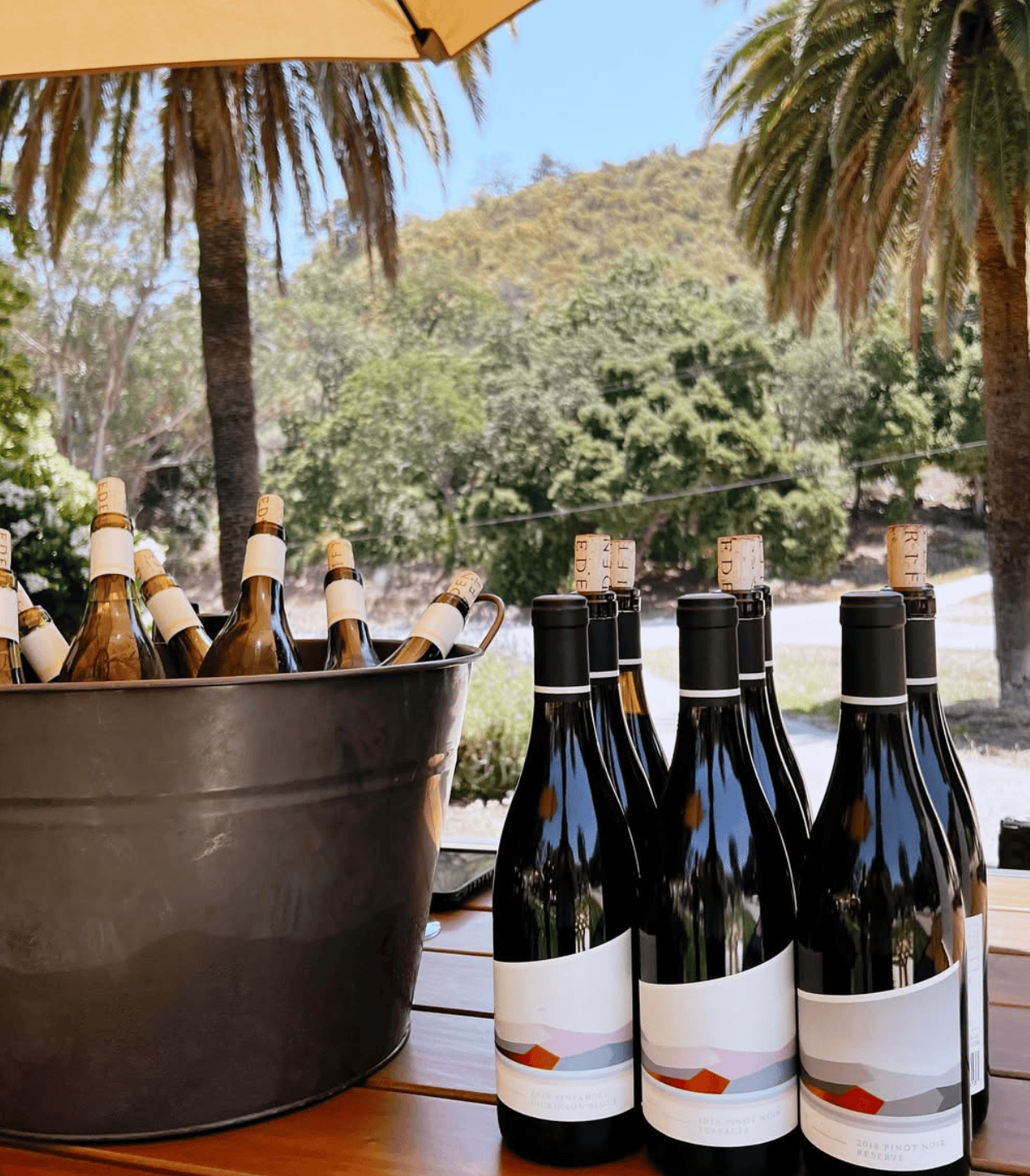 Wine bottles on a table outdoors with palm trees and hills in the background.